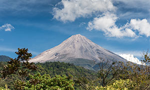 Colima