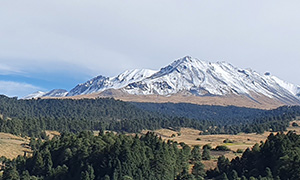 Toluca